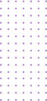CONF 2025